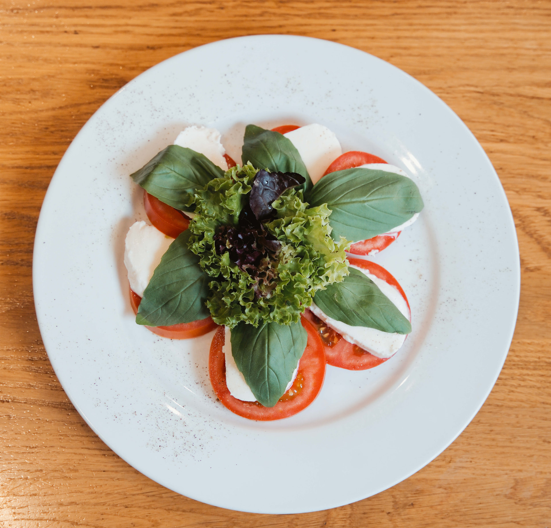 Caprese mit Tomaten, Mozzarella und frischem Basilikum auf einem weißen Teller
